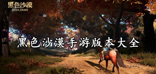 黑色沙漠手游版本大全