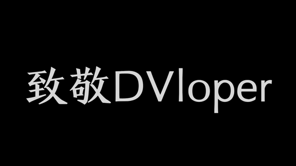 DVloper工作室所有游戏大全