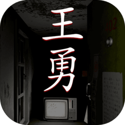 孙美琪疑案王勇