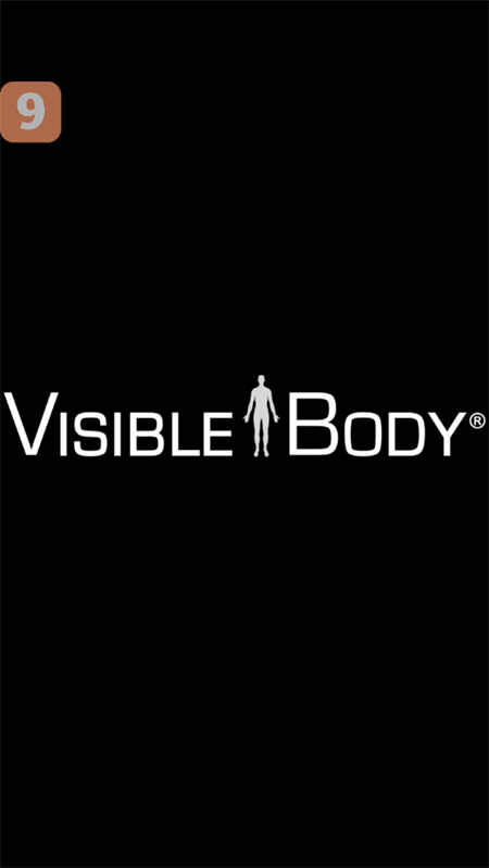 人体解剖学图谱2026破解版下载 第4张图片