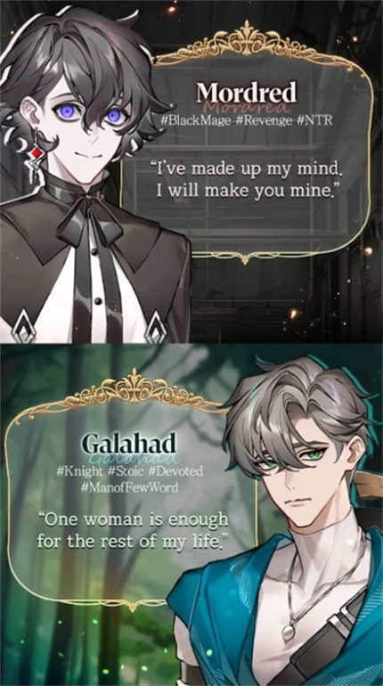 与骑士的秘密之吻汉化版 第2张图片