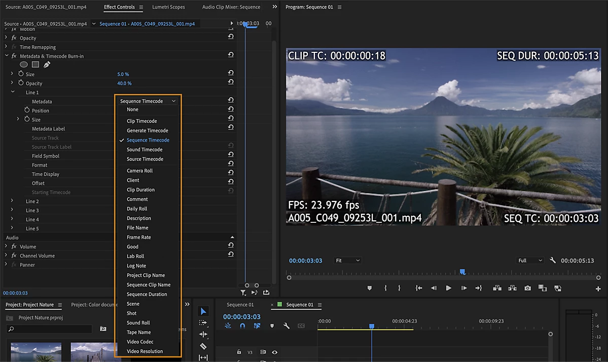 使用元数据和时间码刻录效果