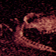 铁肺Iron Lung单机游戏下载 v1.10 安卓版