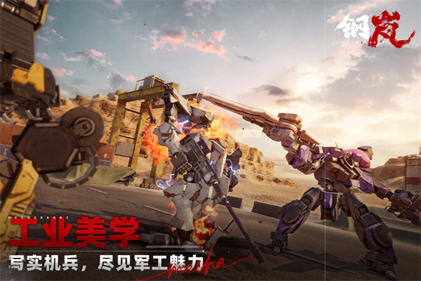 钢岚华为渠道服下载 第3张图片