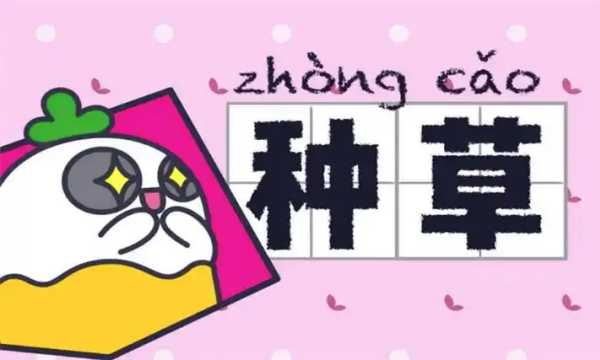 女性种草社区app大全