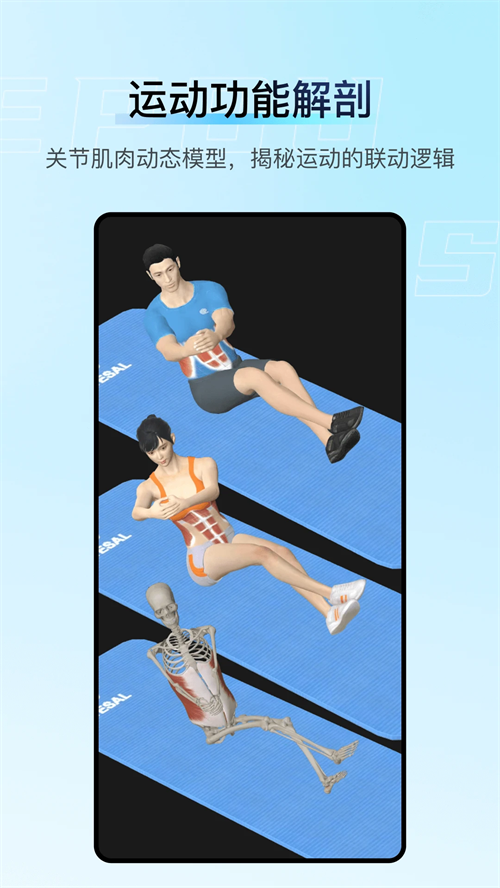 解剖大师免费版 第3张图片