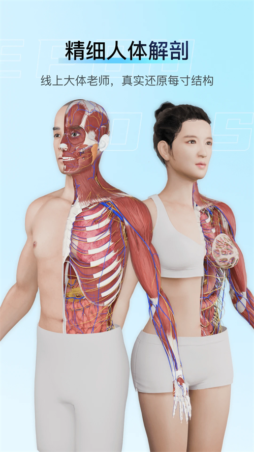 解剖大师免费版 第1张图片