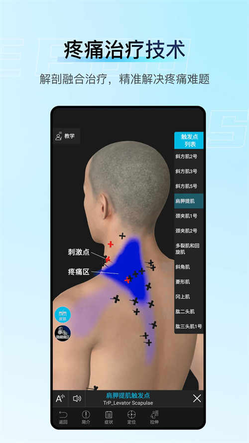 解剖大师免费版 第4张图片