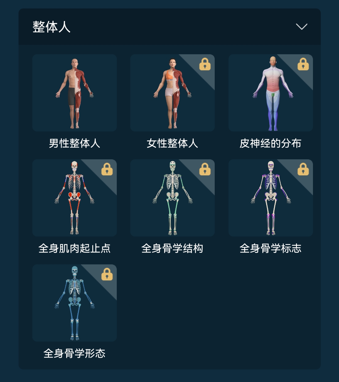 怎么操控模型截图1