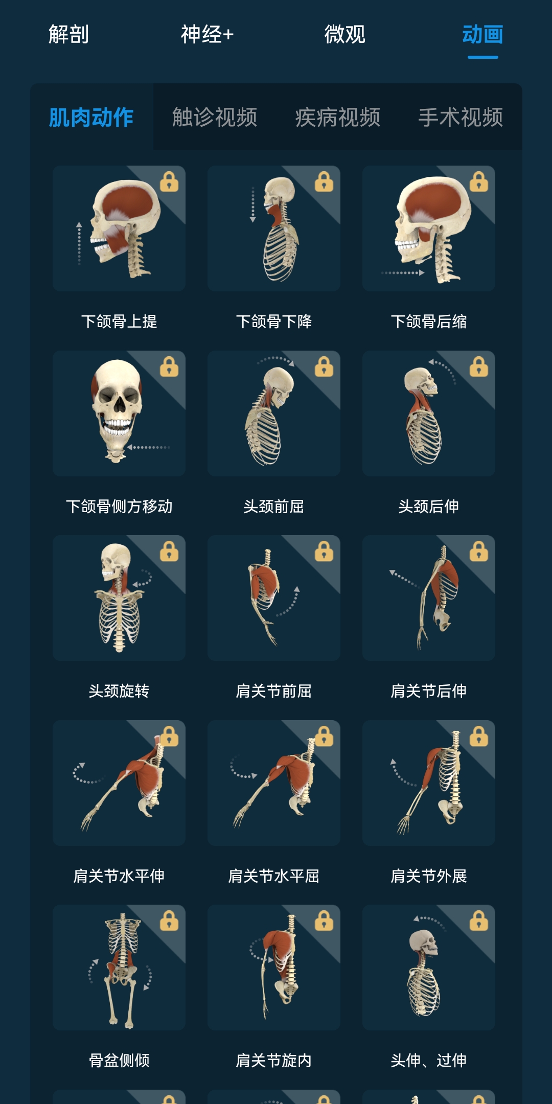 怎么操控模型截图4