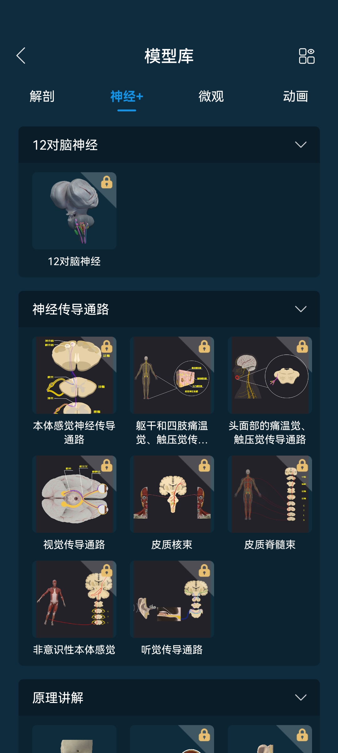 怎么操控模型截图5