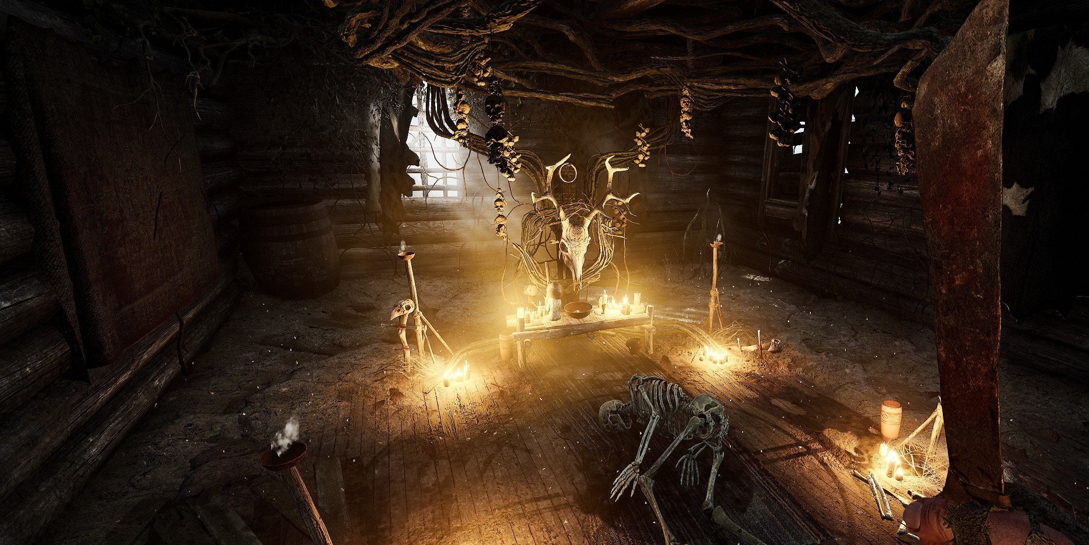 荒原先驱开局指南4