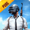 PUBG Mobile先行服下载 v4.2.6 安卓版