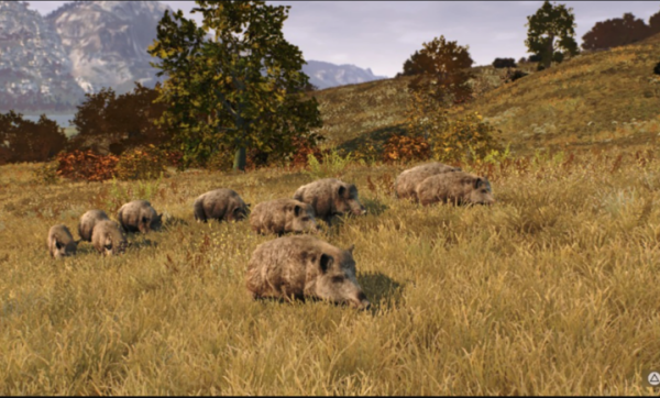 猎人之路狂野欧洲2026最新版下载 第3张图片