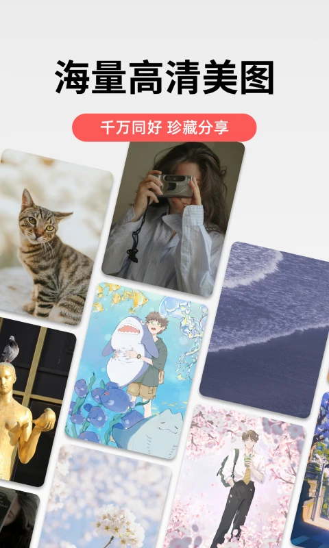 堆糖最新版下载 第3张图片