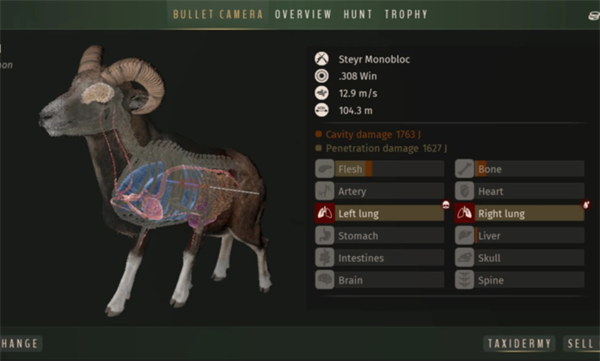 猎人之路狂野欧洲免谷歌全DLC版下载 第4张图片