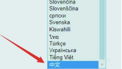 设置中文教程截图3