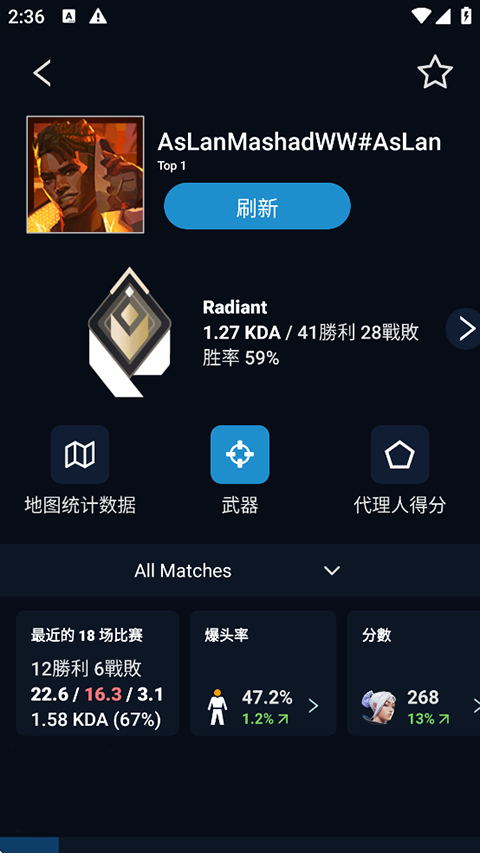 瓦罗兰特战绩查询助手下载 第2张图片