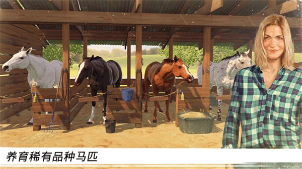 家族传奇马匹养成竞技中文版 第2张图片