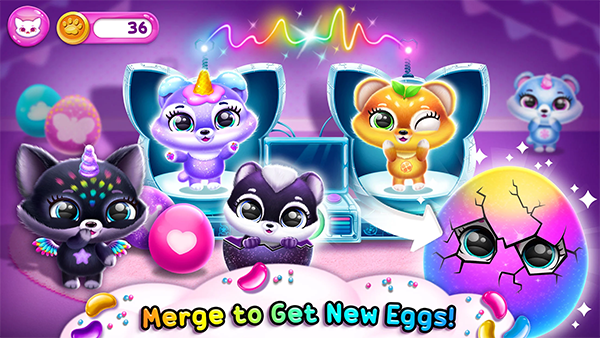 菲露茜斯宠物猫游戏下载 第4张图片