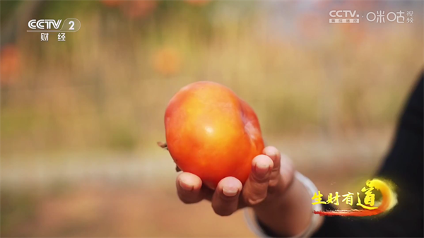 电视家3.0去广告版下载 第2张图片