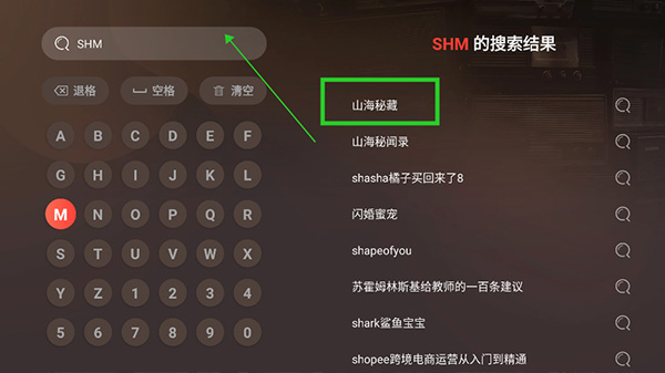 怎么搜小说截图5