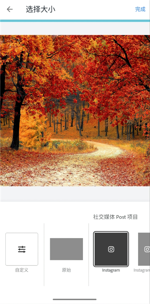 创建设计和拼贴截图3