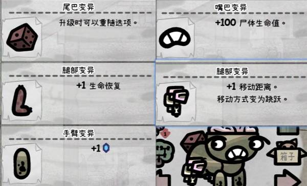 后期猫咪培育指南截图10