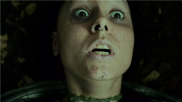 幽林深处手机版下载 第2张图片