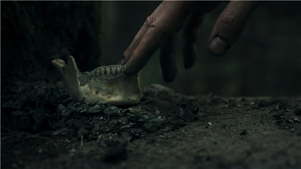 幽林深处手机版下载 第1张图片