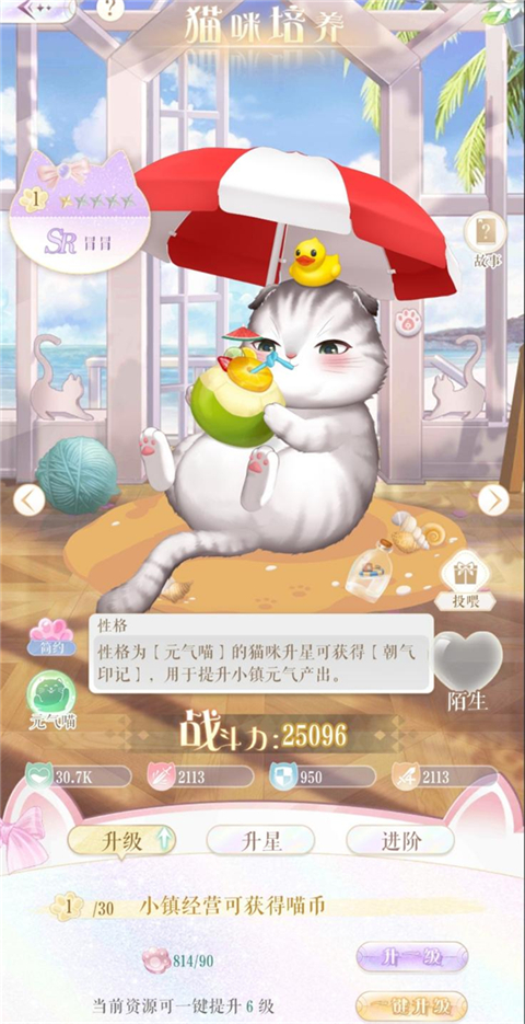 猫咪养成玩法截图1