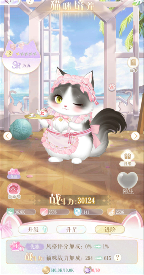 猫咪养成玩法截图3