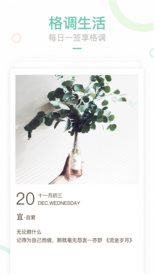 妈妈网轻聊app下载安装 第3张图片