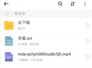 如何加载字幕截图