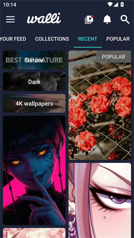 Walli壁纸app下载 第3张图片