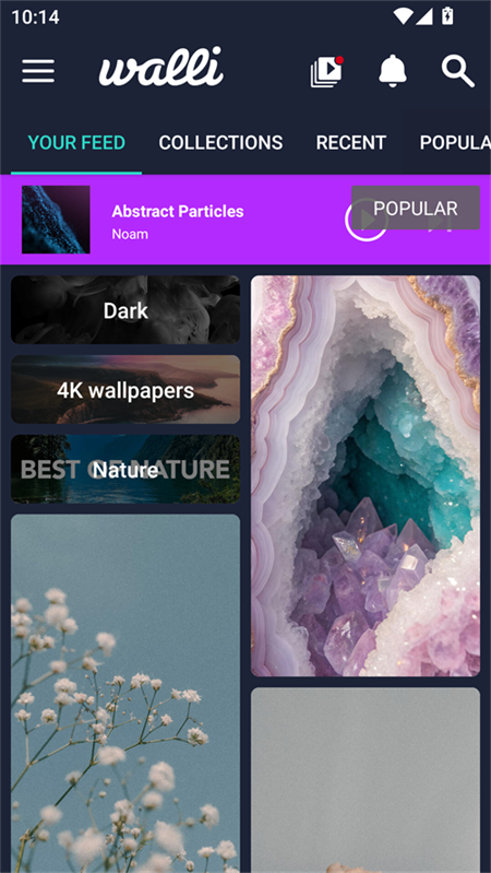 Walli壁纸app下载 第1张图片