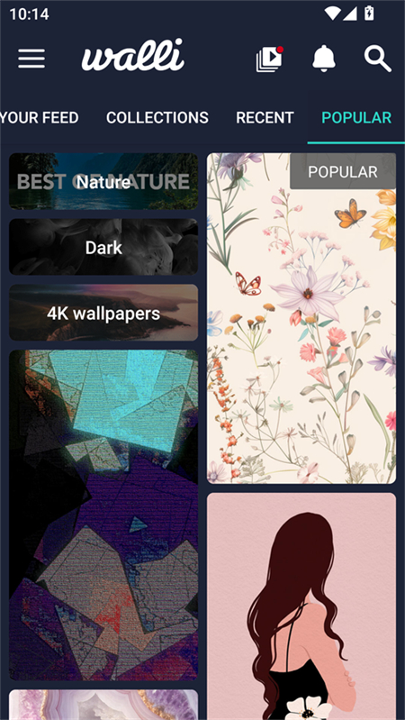 Walli壁纸app下载 第4张图片