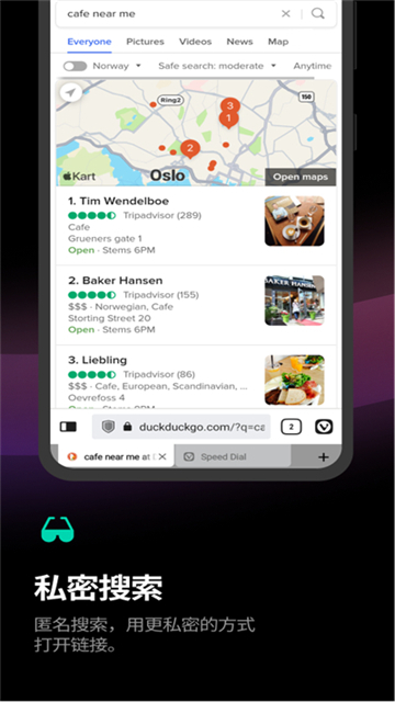 Vivaldi浏览器官方版 第5张图片