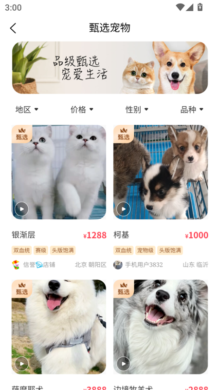 宠物宝app官方版 第3张图片