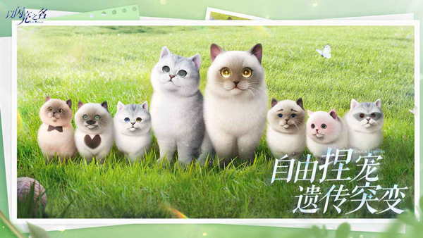 以闪亮之名内测版下载 第3张图片