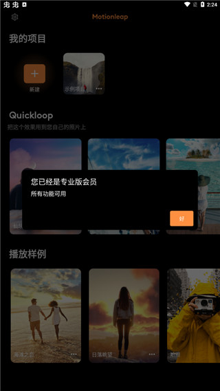 Enlight Pixaloop官方免费版下载 第2张图片