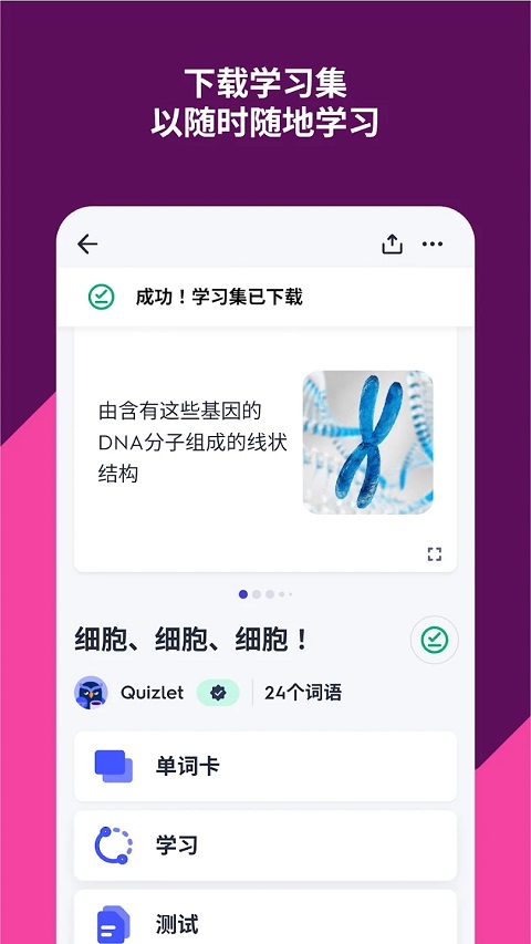 Quizlet官方中文版下载 第2张图片
