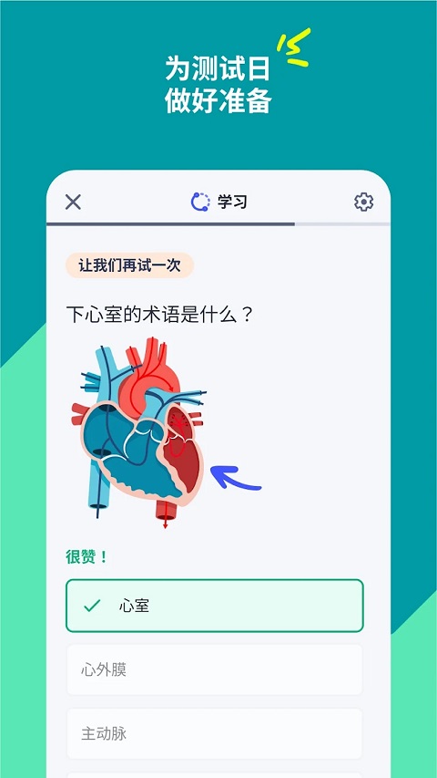 Quizlet官方中文版下载 第3张图片