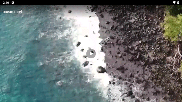 怎么播放本地视频截图4