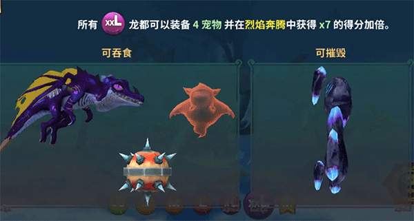 xxl型各龙对比1