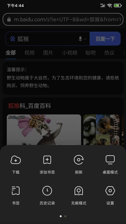 狐猴浏览器国际版app下载 第2张图片