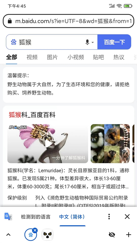 狐猴浏览器国际版app下载 第3张图片