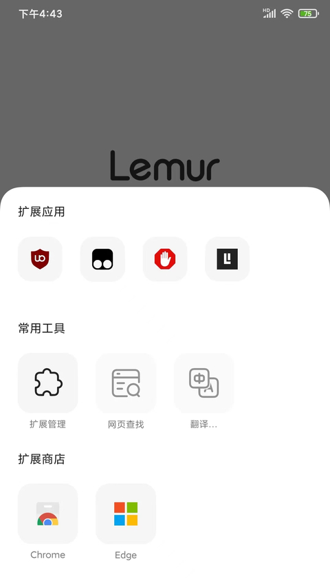 狐猴浏览器国际版app下载 第4张图片
