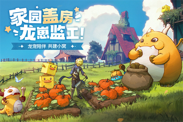 龙骑士学园九游版 第4张图片
