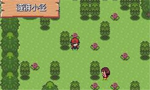 口袋妖怪胜利之火汉化版 第3张图片